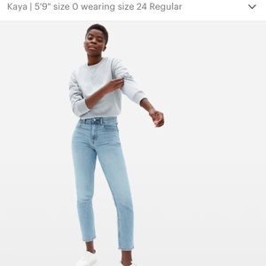 Everlane Japanese Denim Cheeky Jean